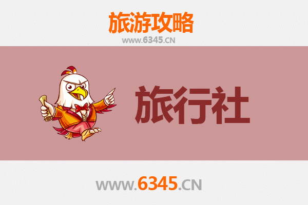 七台河旅行社精选推荐：冰雪文化与生态之旅的完美向导